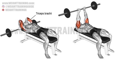 Lying barbell triceps extension exercise instructions and video