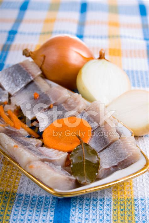 Salted Herring Stock Photo | Royalty-Free | FreeImages