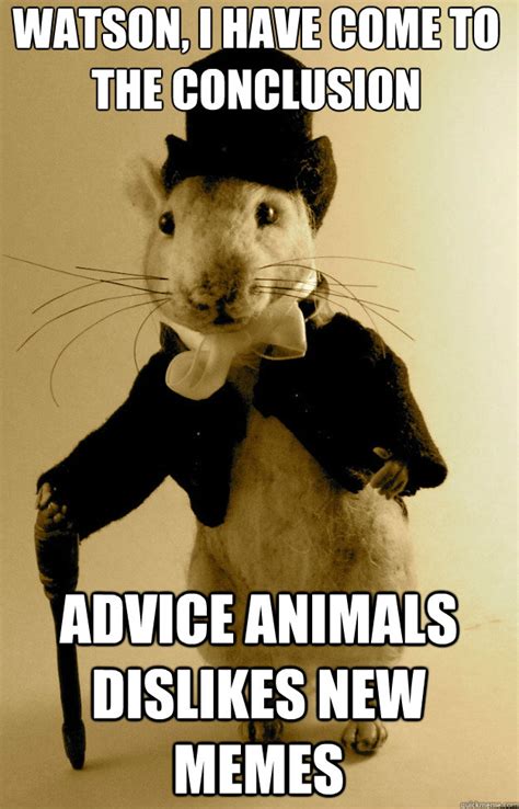 watson, i have come to the conclusion advice animals dislikes new memes - Sherlocke Shrew ...