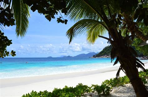 The 5 Best Beaches in the Seychelles?