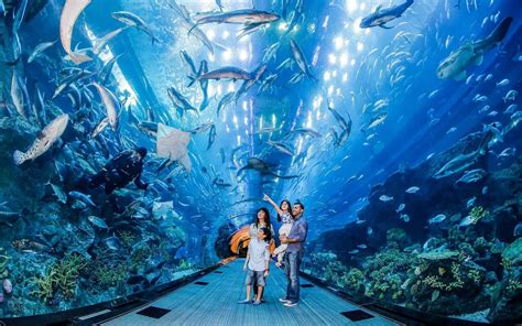 Burj Khalifa 124th Floor with Dubai Aquarium - UAE Visa Online