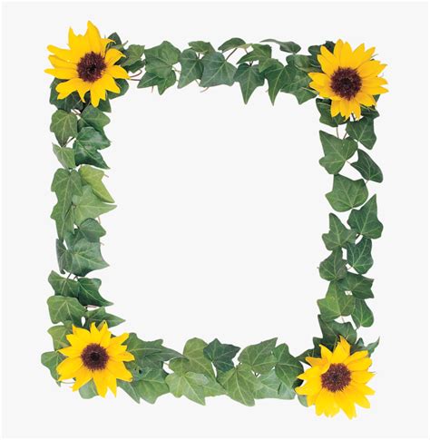 Sunflowers Clipart Border