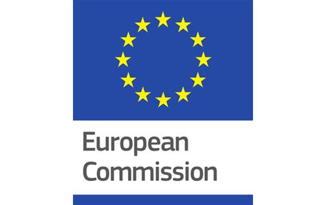 The European Commission’s margin of discretion