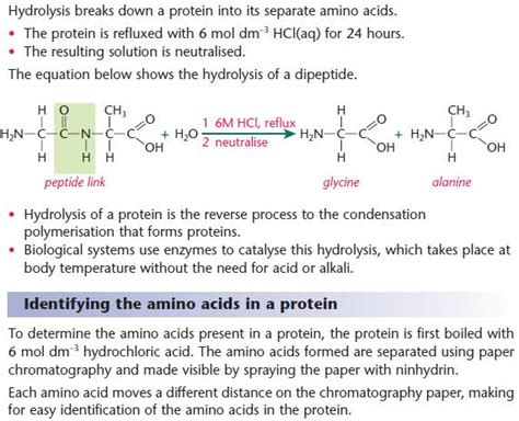 Amino acids | a2-level-level-revision, chemistry, aromatics-amines-amino-acids-polymers, amino ...