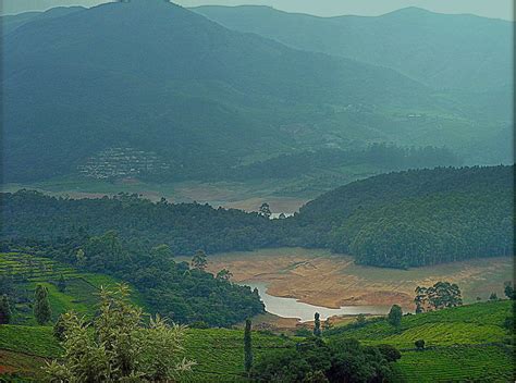 Trip to Unexplored Ooty - Avalanche Lake | Delightful Destinations