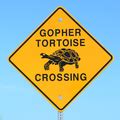 Category:Turtle warning road signs - Wikimedia Commons