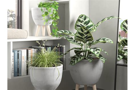 Decorating With Plants: How to Style Plants for a Stunning Display ...