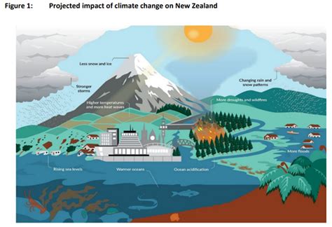 Rising sea levels: innovative ways the world is adapting | World Economic Forum