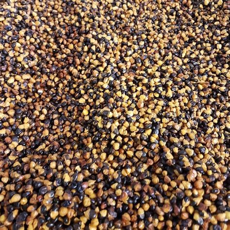 wattleseed roasted and ground