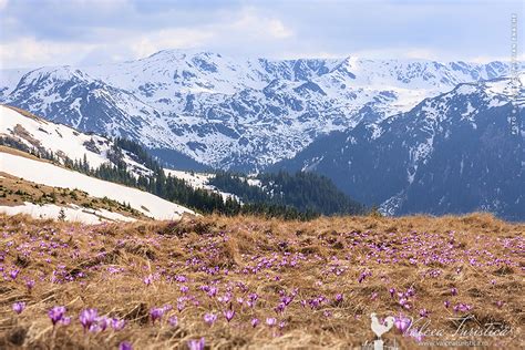 Fotografii Valcea. Imagini cu peisaje din judetul Valcea