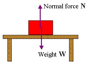 This is a diagram similar to the coffee cup example, of the two different forces acting on the ...