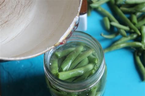 Canning Green Beans in a Pressure Cooker - Rurally Prepping