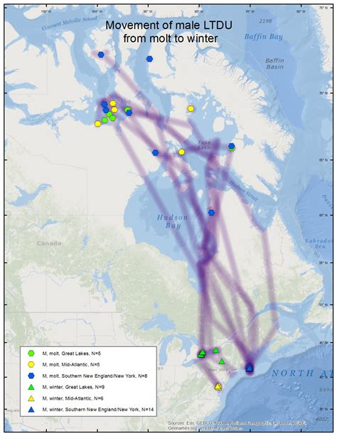 Long-tailed Duck migration maps - Sea Duck Joint Venture