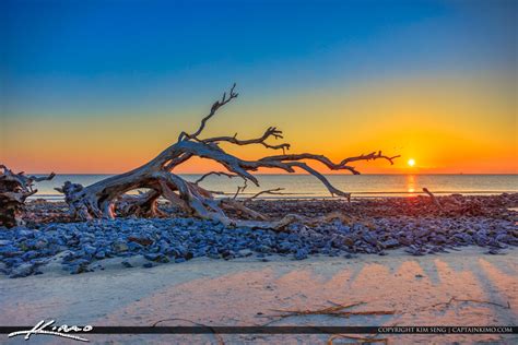 Georgia Jekyll Island Most Beautiful Sunrise on Driftwood Beach | Royal Stock Photo