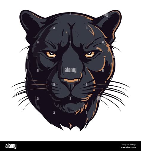 Panther Head Drawings