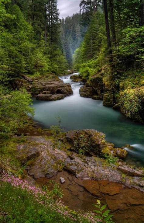 dehanginggarden | Paesaggi, Luoghi meravigliosi, Natura meravigliosa