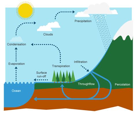 Precipitation Diagram - ClipArt Best