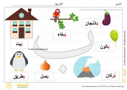 Survival laundry radium كلمات بحرف الباء للاطفال insect chin practice