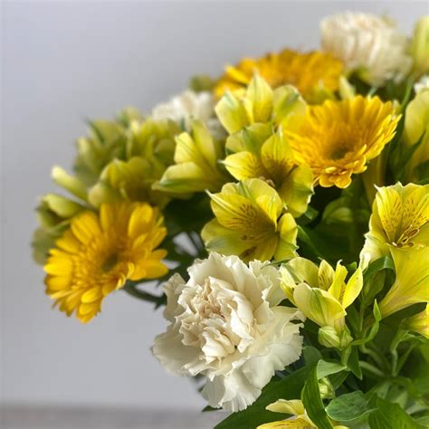 Send Mellow Yellow for UK flower delivery from Clare Florist.