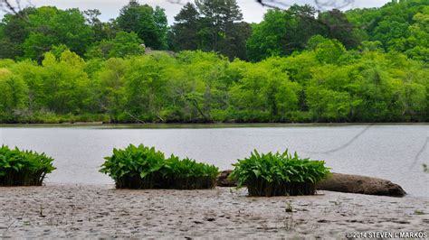 Chattahoochee River National Recreation Area | GOLD BRANCH HIKING TRAILS