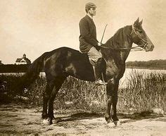 ONE OF THE LOST BREEDS, THE NARRAGANSETT PACER | Narragansett, Breeds, American saddlebred