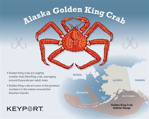 Keyport - Alaska Golden King Crab