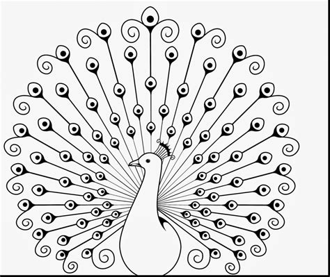 Outline Easy Peacock Coloring Pages : Use your imagination to create ...