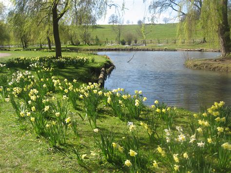 beautiful English gardens in the springtime | Natural landmarks, English garden, Nature