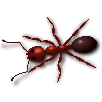 Ant PNG Vector Images with Transparent background - TransparentPNG