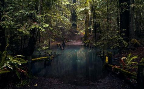 10 Sonoma County Hiking Trails with Insane Paranormal Activity