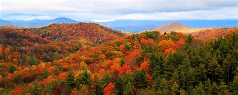 Blowing Rock, NC - Hometown Roof CleaningHometown Roof Cleaning