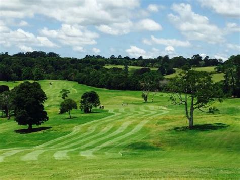 Maleny Golf Club: UPDATED 2020 All You Need to Know Before You Go (with PHOTOS)