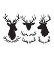 Reindeer antlers isolated on white background Vector Image