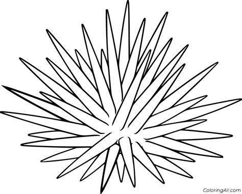 Sea Urchin Coloring Pages (7 Free Printables) - ColoringAll