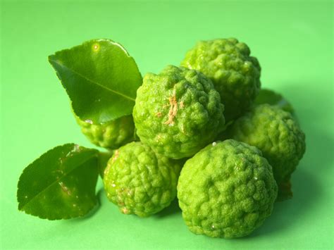 Bergamot Fruit Free Stock Photo - Public Domain Pictures