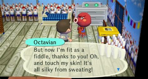 Image - Octavian ACCF.JPG | Animal Crossing Wiki | Fandom powered by Wikia