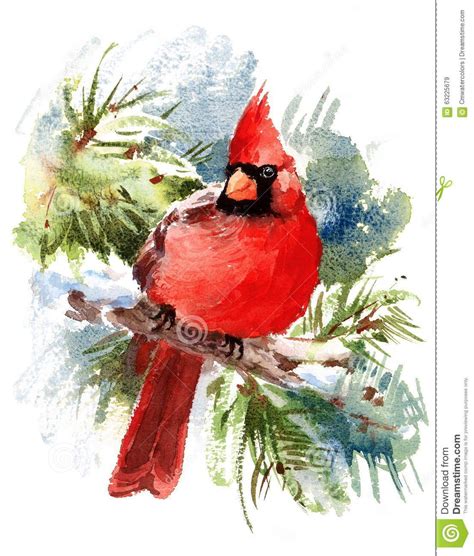 Cardinal Bird Watercolor Winter Illustration Hand Drawn - Download From ...