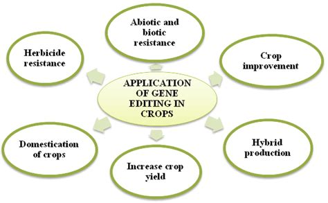 Application of gene editing in crops | Download Scientific Diagram