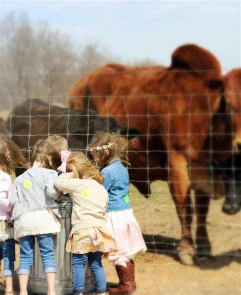 Green Meadows Petting Farm | VisitMaryland.org