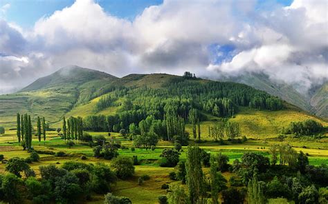 Turkey summer, mountains, hills, Asia, forest, HD wallpaper | Peakpx