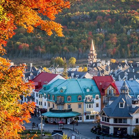 Are Dogs Allowed In Mont Tremblant Village