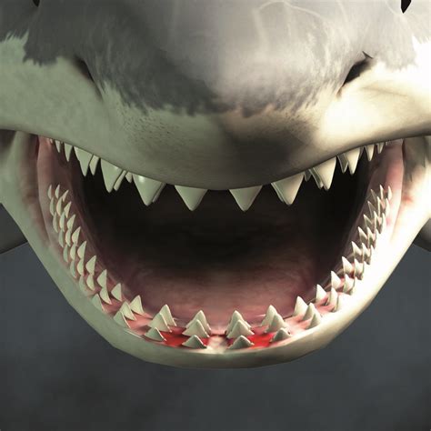 ¿Dientes de tiburón? - Gaceta Dental