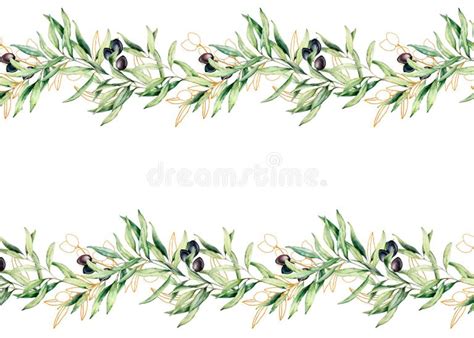 Olive Branch Border Stock Illustrations – 6,781 Olive Branch Border ...