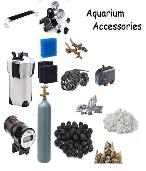 Aquarium Accessories | Shop Accessories for Your Fish Tank