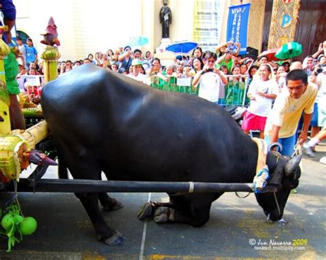 5 Fascinating Bulacan Festivals During The Month Of May - Bulakenyo.ph