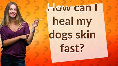 How can I heal my dogs skin fast? - YouTube