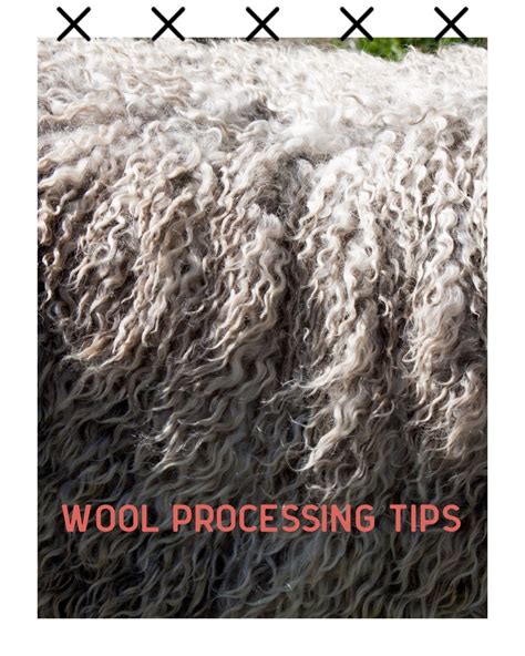 wool processing tips- washing raw wool- how to clean wool for spinning - handspun yarn blog ...