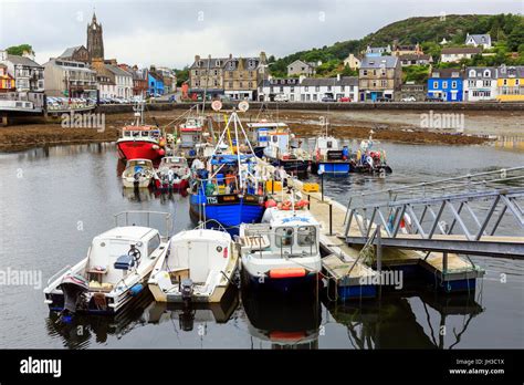 Harbour, Tarbert, Loch Fyne, Scotland, UK Stock Photo - Alamy