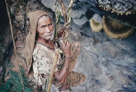 Nepal's Honey Hunters - HIMA JOMO