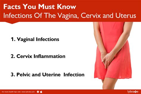 Infections Of The Vagina, Cervix and Uterus: Facts You Must Know. - By ...